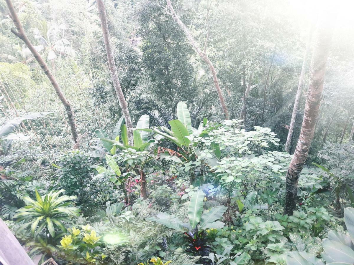 Ubud River Side House Hotel Exterior photo